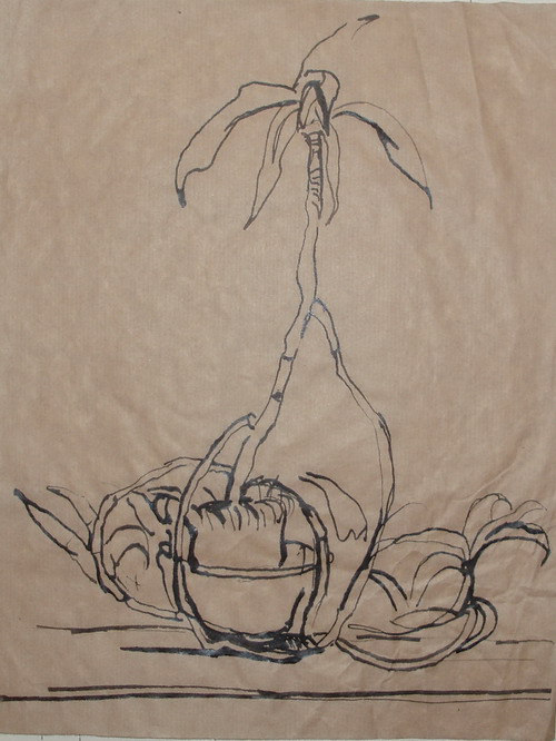 ����� ������� ��